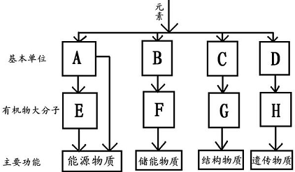 2013-2014学年吉林省长春市九台市高中师范高王婷普集高中图片