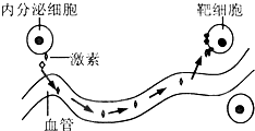 菁優(yōu)網(wǎng)