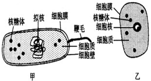 菁優(yōu)網(wǎng)