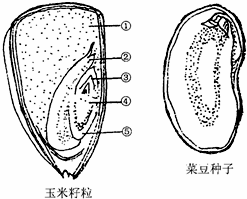 菁優(yōu)網