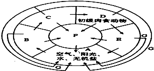 菁優(yōu)網(wǎng)