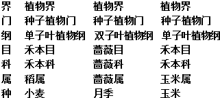 15初中苏教版八生物(上)期末试卷年级-初中生学年v初中南宁图片