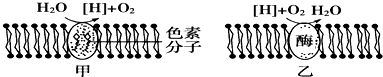 菁優(yōu)網(wǎng)