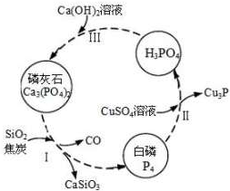 其中SiO2的作用是用于造渣(CaSiO3),