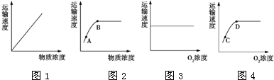 如图1～4为表示物质浓度或氧气浓度与物质跨膜运输速度间关系的曲线图