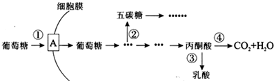 菁優(yōu)網