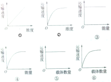 质进入细胞都通过细胞膜,在用呼吸抑制剂处理