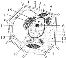 d27821de.png