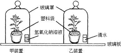 6469ca62.png