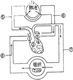 f7fc814e.png