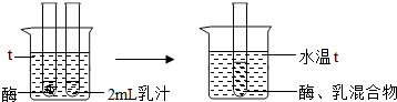 菁優(yōu)網