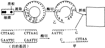 菁優(yōu)網(wǎng)