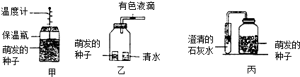 菁優(yōu)網(wǎng)