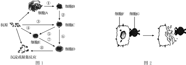 2015年内蒙古赤峰市宁城县高考生物一模试卷
