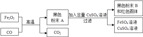 菁優(yōu)網