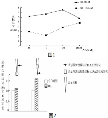 2015年江西省南昌市新建二中高考生物冲刺模