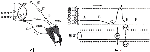 2014-2015学年浙江省宁波市镇海中学高二(下