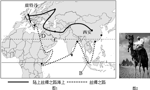 菁優(yōu)網(wǎng)