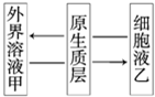 菁優(yōu)網(wǎng)