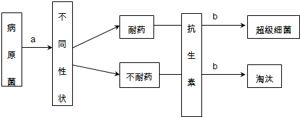 超级细菌因具有NDM基因,耐药性极强,现存抗