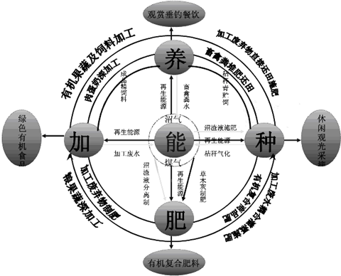 农业生产的高度发展,现代化畜禽养殖业的迅猛