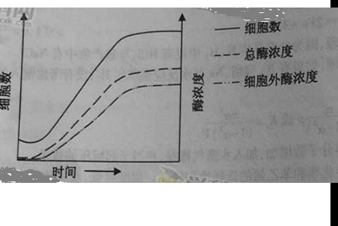 氨基酸是由什么决定的 8cd9be3b.png