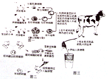 2015年山东省聊城市莘县中考生物三模试卷