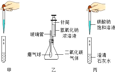 同学们在学习碱的化学性质时,进行了如图所示