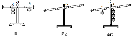 在杠杆支点的两边分别挂上钩码来探究杠杆的平衡条件