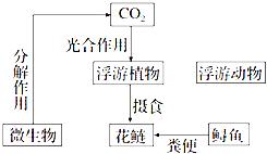 菁優(yōu)網(wǎng)