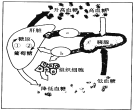06122f9f.png