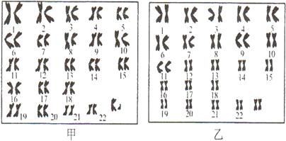 请分析回答: (1)从图中可以看出,在人的体细胞中,染色体是 成对 成对