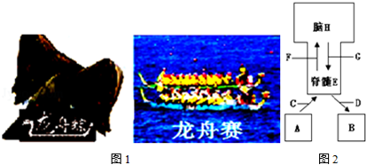 2014-2015学年江西省抚州市金溪二中九年级(成都重点初中升学率图片