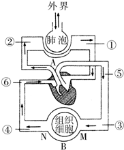 2013-2014学年浙江省温州市育英中学八年级(