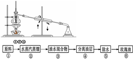 高中生物16个实验原理大解析,想成学霸中怎么能少了它