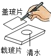 菁優(yōu)網(wǎng)