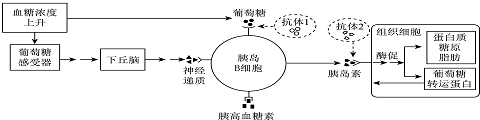 菁優(yōu)網