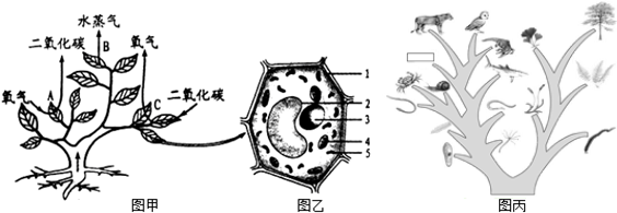 2014-2015年级江西省抚州市金溪二中九膳食(合理学年初中生图片