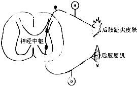 2169003c.png