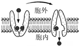 菁優(yōu)網(wǎng)