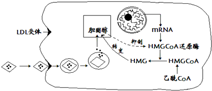 如何降低低密度脂蛋白胆固醇代谢 29268aca.png