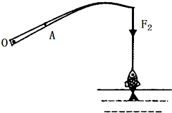 如图所示为钓鱼竿钓鱼的示意图.