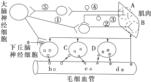 菁優(yōu)網(wǎng)