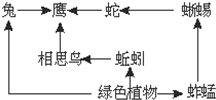 菁優(yōu)網(wǎng)