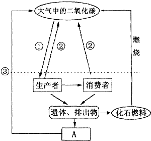 (2015春定州市期中)如图为生态系统物质循环的碳循环示意.