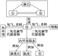 菁優(yōu)網(wǎng)