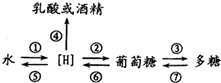 菁優(yōu)網(wǎng)