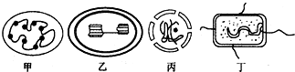 菁優(yōu)網(wǎng)