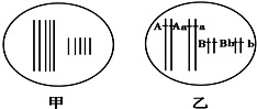 127be92d.png
