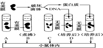 菁優(yōu)網